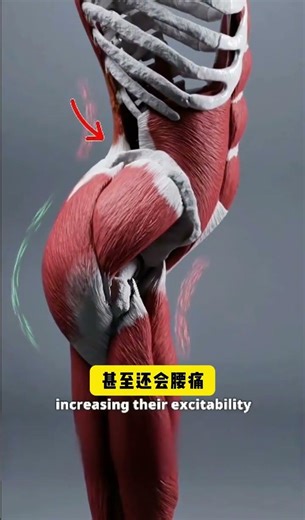 How Long Sitting Ruins Your Back & Hip Flexors? Quick Fix Inside