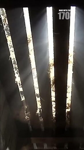 Brutal Truths of Roman Gladiator Training