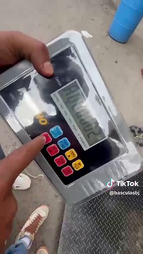 Calibración de Báscula Plataforma con Indicador Rhino IPES