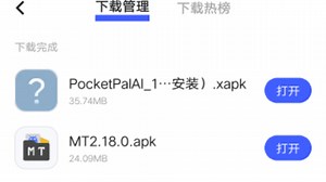 【电子扫盲手机篇001】安卓手机如何安装xapk和apks文件？