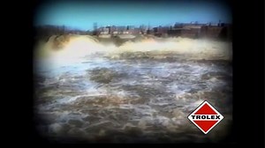 Si tienes problemas con termitas la solución es nuestro Servicio para Termitas: https://panama.trolex.net/tratamiento/ | Trolex