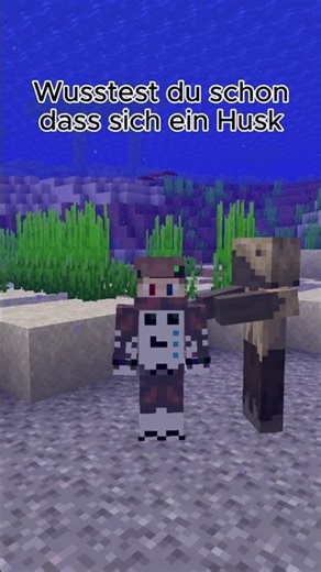 Wusstest du, dass Husk in Minecraft DAS machen? 😳