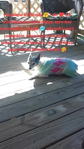 roxstar_roxie (@roxstar_roxie)’s videos with original sound - Zoe Roe