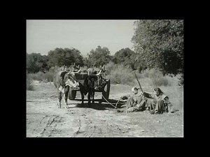 California Missions: Franciscan Friars & El Camino Real