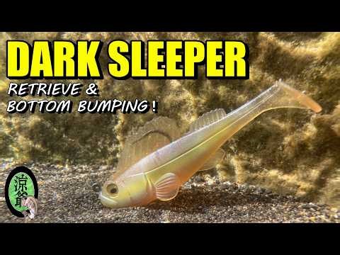 【バス釣り】 メガバス DARK SLEEPER に救われた男！