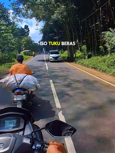 Jatian Senduro, Lumajang: Discover the Charm