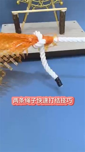 Quick knotting tips on two ropes | Meaningful Cartoons