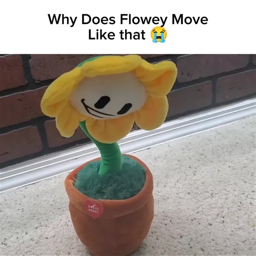 Dancing Flowey Plush Meme - Fun and Humor