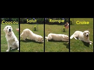 Tuto dressage 02 - Coucou, Salut, Rampe, Croise