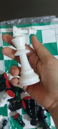 Chess Set Unboxing (Under Rs.500)