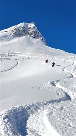 Back to pow ❄️🎿 The end of last year was rather on the dry side, but 2026 is delivering. Fresh snow kicked off the week, plenty more on the forecast and just enough sunshine before the next storm rolls in. Our groups scored excellent skiing all week and we are fired up for some storm days ahead with the best tree skiing the area has to offer 🌲🎿 Just drop us a message and get ready to be guided in St. Anton and Lech Zürs #pistetopowder | Piste To Powder - Off Piste Ski Guides St.Anton Arlberg