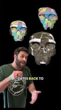 Part 2 | A major shake up in the human family tree? #learning #evolution #science #humanevolution