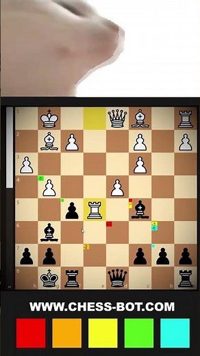 ChessBotX - Your Own Chess Helper 💙🧡 #chesscom