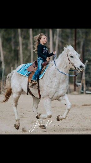 1.5K views · 19 reactions | Please help us find our horses! They are...