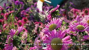 12K views · 1K reactions | For I know the plans I have for you... | Perry Stone Ministries | Facebook