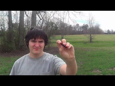 How to load the Crosman 760 without the clip!