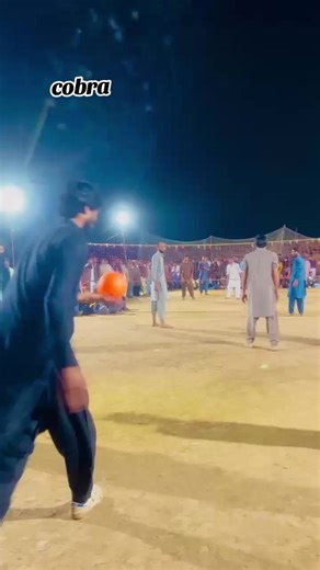 Cobra: The Fascinating World of This Majestic Snake