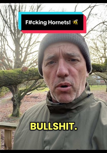 Understanding Hornet Behavior and Control