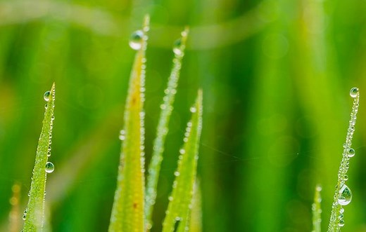 SLE, SPE and LLE – How are Those Different?