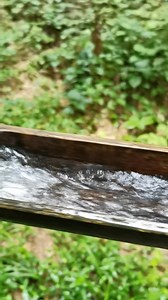 1M views · 13K reactions | Bamboo sinks bring mountain springs from far away to homes. This is common in bamboo forests and mountainous areas in China. | Jinhe Fu | Facebook