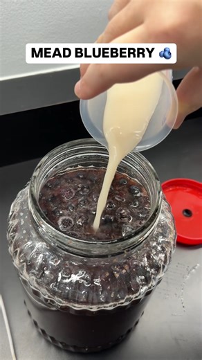 Andrea Novita on Instagram: "lanjut series mead! kali ini bikin blueberry mead 🫐🍯🥂 #foodtech #mead #fermentasi #honey #blueberry"