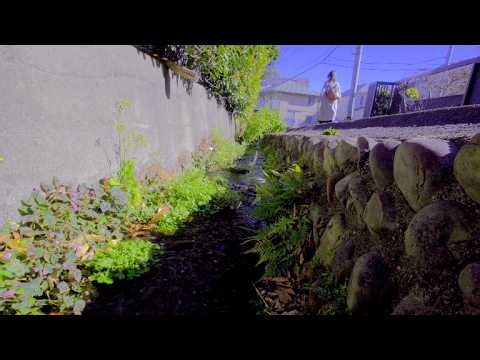 日野市 中央図書館下湧水