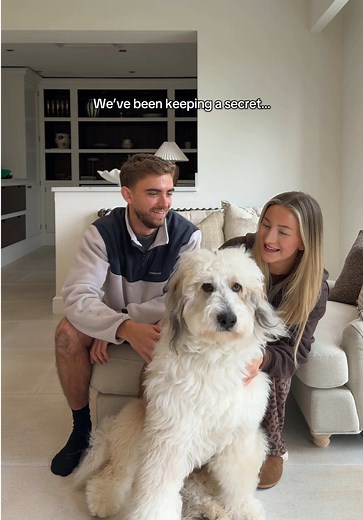 Meet Custard, Our New Sheepadoodle Family Member!