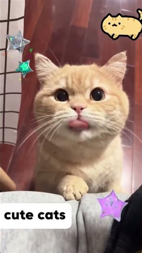 Polybuzz ads has become normal; Polybuzz does not allow children to use#polybuzz#gpt #funnyvideo