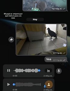 Que madre es eso jaja | Los Chicos Del 20