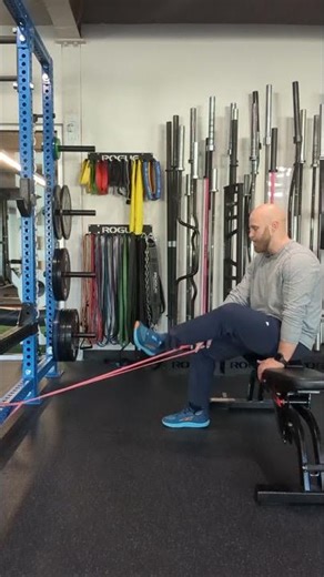Band Seated Hamstring Curl