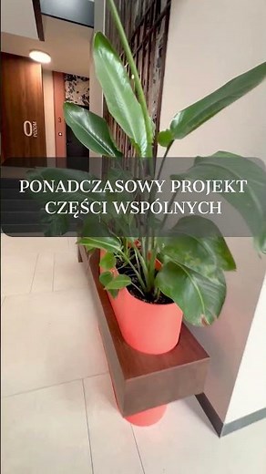 Spacer do mieszkania z prywatnym ogródkiem | Nobilis Toruń