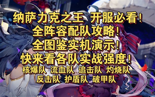 纳萨力克之王 全阵容配队攻略！全图鉴实机演示！快来看各队实战强度！