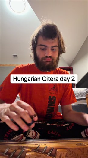 Hungarian Citera dulcimer performance — day 2