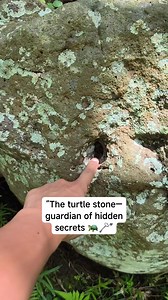 “The turtle stone—guardian of hidden secrets 🐢🗝️” #MysteryReel #tagongyaman #mysteriousrock #NatureMystery #hiddentreasure #AdventureVibes #KeepBelieving | Wenlie's Tivi