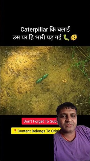 🍓🧺#TIMELAPSE:START to FINISH Alone BUILDLOG Cabin (Wooden House)How To Build Wooden Cabin Surviva502