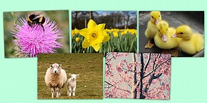 Spring Photo Clip Art Pack