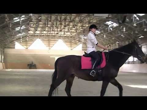 乗馬をしている女性は美しい @北海道苫小牧市 Beauty Woman Ride a Horse in Northern Horse Park Tomakomai Hokkaido