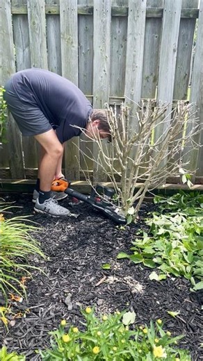 Bush removal is easy with the WORX JAWSAW! #chainsaw #landscape #worx #jawsaw #electric #battery