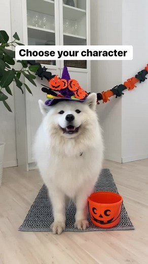 Maya's Halloween Costume Selection Journey