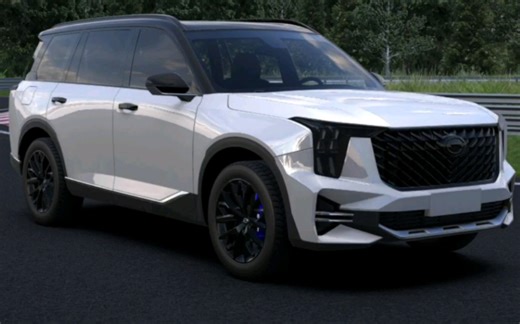 全新GS8外观改色熊猫色＋黑武士