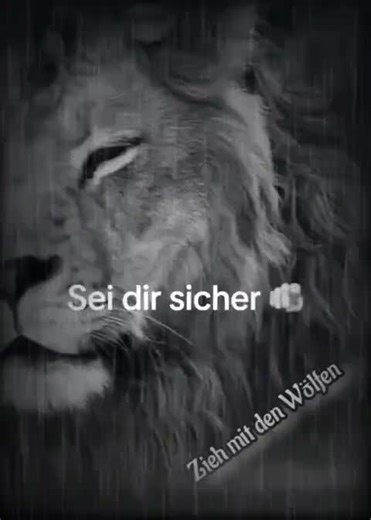 #zitatezumnachdenken #lebensweisheiten #zietateundsprüche #zitate #wahreworte