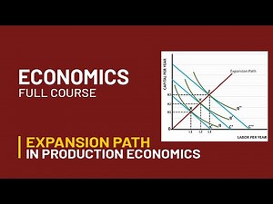 Expansion Path in Production Economics