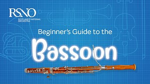 64K views · 147 reactions | What does the bassoon sound like? How...