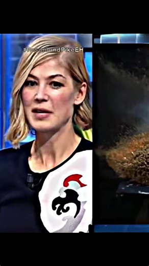 #duet with @Rosamund Pike #rosamundpike