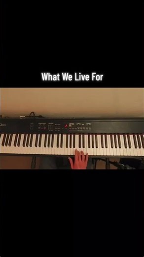 What We Live For ( Break ) Bassjackers & Afrojack