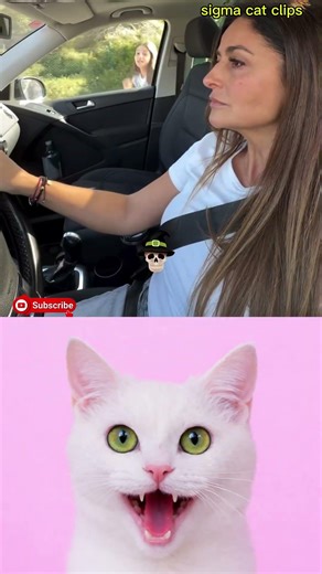 #funny #britishtvseries #funnyshorts