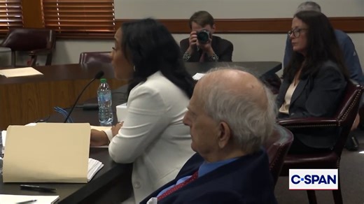 Fani Willis has tense exchange with Republican state senator during hearing