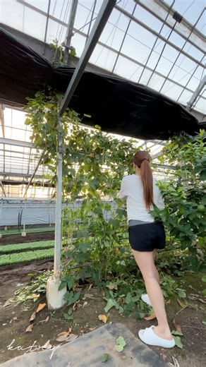 20K views · 1.8K reactions | A busy Tuesday mini vlog | Ms Katey | katey | Facebook