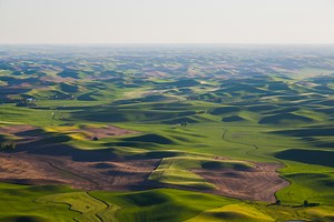 The Palouse
