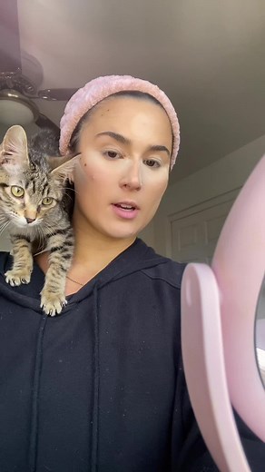 Emotional Support Kittens: A Heartwarming Journey